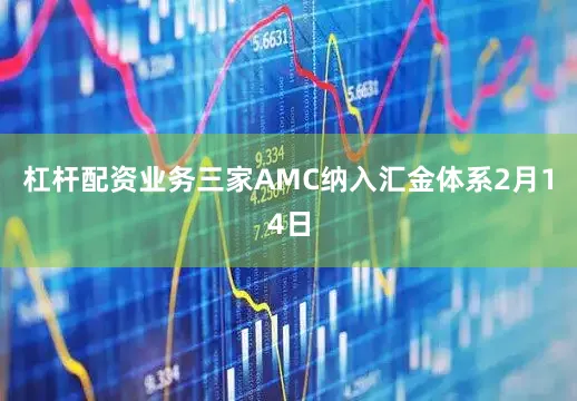 杠杆配资业务　　三家AMC纳入汇金体系　　2月14日