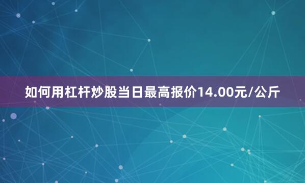 如何用杠杆炒股当日最高报价14.00元/公斤