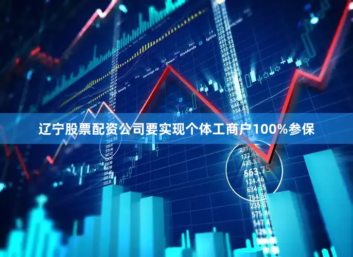 辽宁股票配资公司要实现个体工商户100%参保