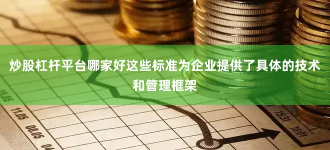 炒股杠杆平台哪家好这些标准为企业提供了具体的技术和管理框架