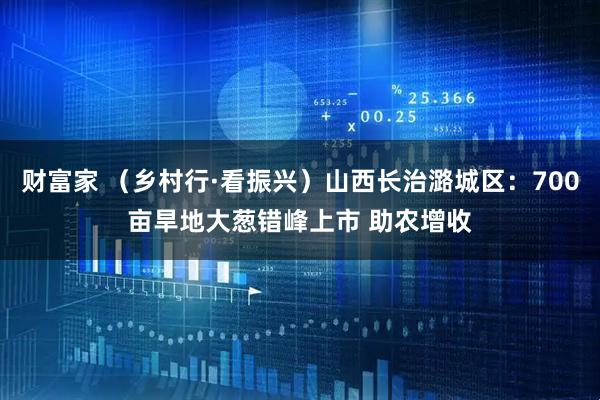 财富家 （乡村行·看振兴）山西长治潞城区：700亩旱地大葱错峰上市 助农增收
