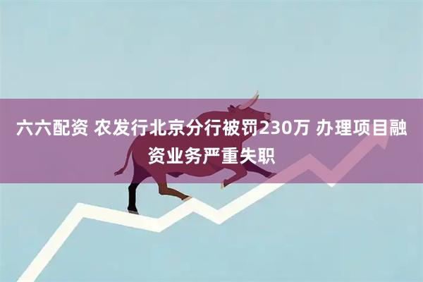 六六配资 农发行北京分行被罚230万 办理项目融资业务严重失职