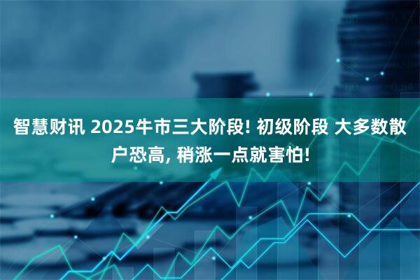 智慧财讯 2025牛市三大阶段! 初级阶段 大多数散户恐高, 稍涨一点就害怕!