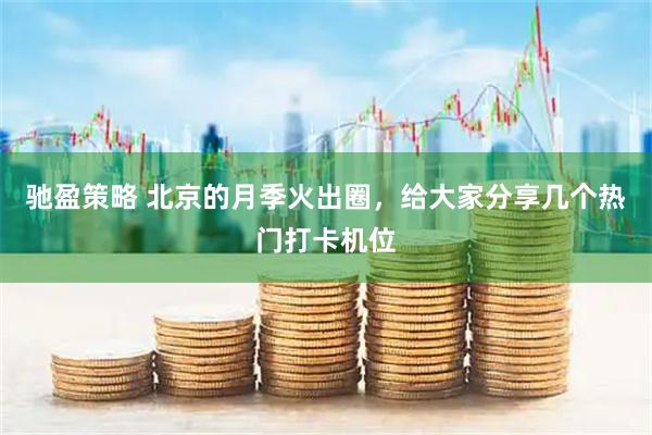 驰盈策略 北京的月季火出圈，给大家分享几个热门打卡机位