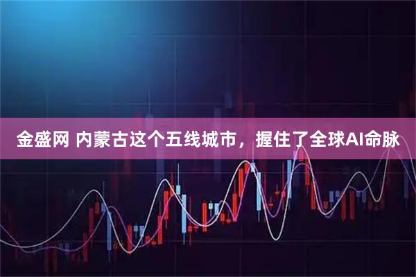 金盛网 内蒙古这个五线城市，握住了全球AI命脉