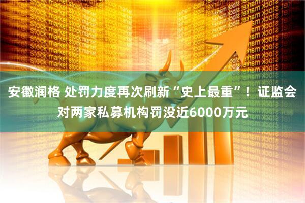 安徽润格 处罚力度再次刷新“史上最重”！证监会对两家私募机构罚没近6000万元