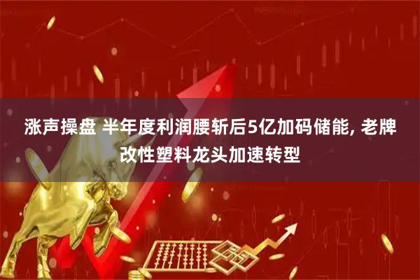 涨声操盘 半年度利润腰斩后5亿加码储能, 老牌改性塑料龙头加速转型
