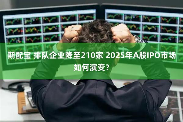 期配宝 排队企业降至210家 2025年A股IPO市场如何演变？